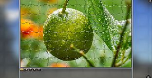 Jigsaw Puzzle Pack - Pixel Puzzles Ultimate: Variety Pack 21