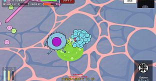 Colony on the Run