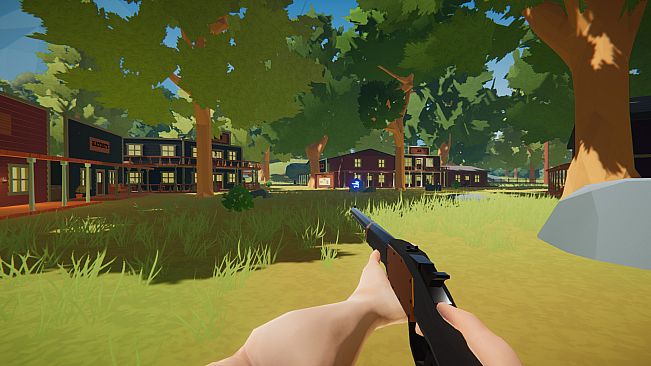 Wild West and Wizards