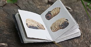 AntVentor ArtBook + Soundtrack