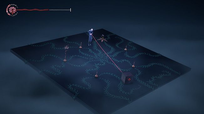 Balance: Umbilical Wake