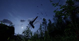 Forest Doesn’t Care