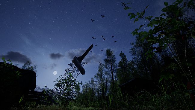 Forest Doesn’t Care