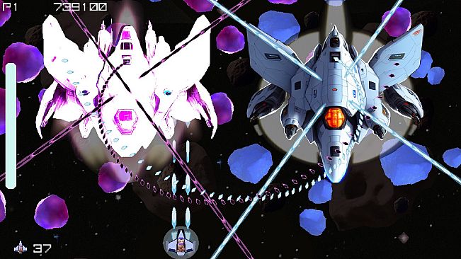 Bingus In Space