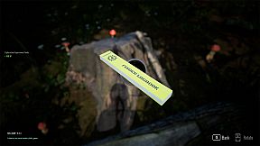 Tales From The Cache