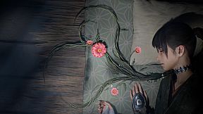 Beast of Reincarnation