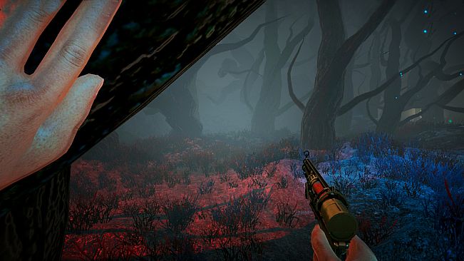 Nevrosa: Spider Song