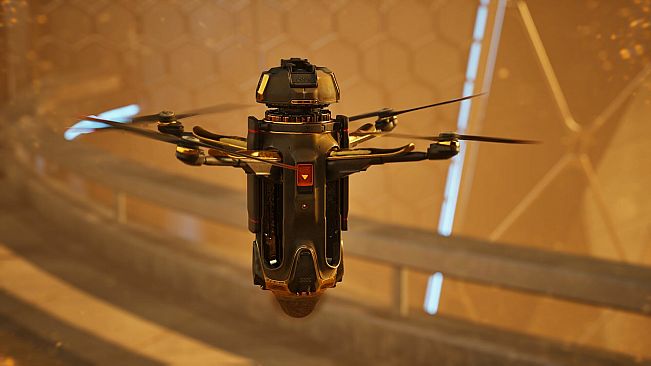 "Exotic" DC2 Companion Drone Skin