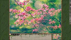 Pixel Puzzles Traditional Jigsaw Puzzles