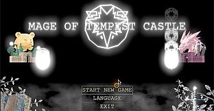 Mage of Tempest Castle