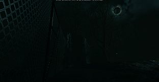 Eclipse Anomaly Research - Swamp of Insanity