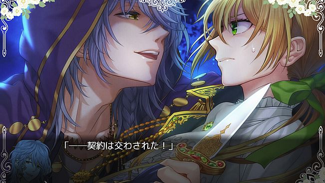 When Sword Sinks Into Flowers