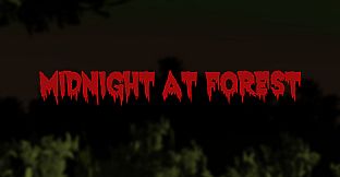 Midnight at Forest