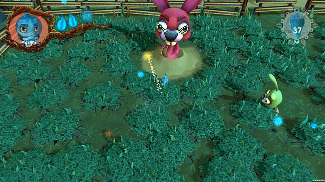 Ginger: Beyond the crystal