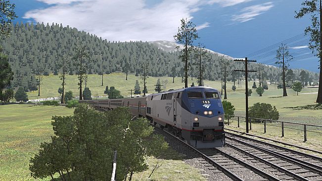 Trainz 2022 DLC - Pro Train: Amtrak Viewliner I & II