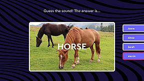 Wild Honesty: A party game for deeper conversations