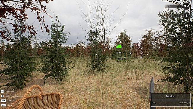 Mushroom Hunter World