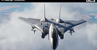 DCS: F-14A/B Tomcat by Heatblur Simulations