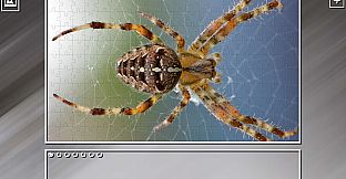 Super Jigsaw Puzzle: Generations - Random Animals Puzzles