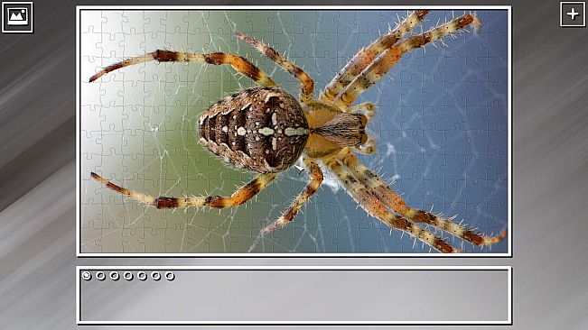 Super Jigsaw Puzzle: Generations - Random Animals Puzzles