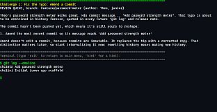 git gud - Clean History Craftsman
