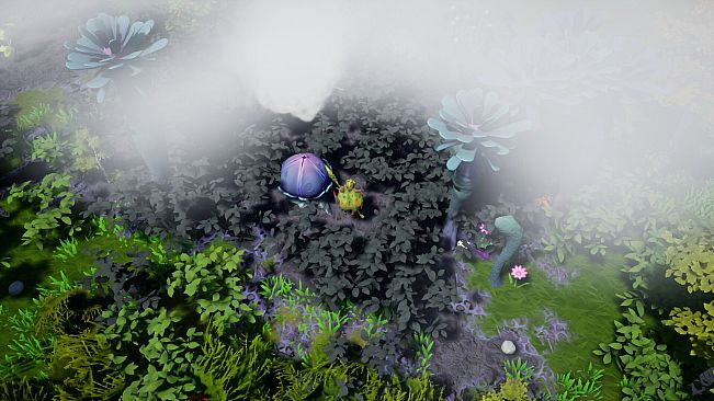Emberhaven