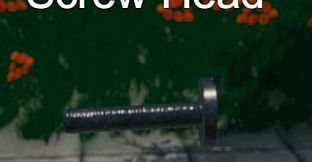 Hide and Seek - Screw Head