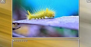 Super Jigsaw Puzzle: Generations - Bugs Puzzles