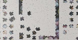 Jigsaw Puzzle Palace