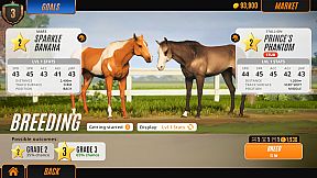 Rival Stars Horse Racing: Desktop Edition