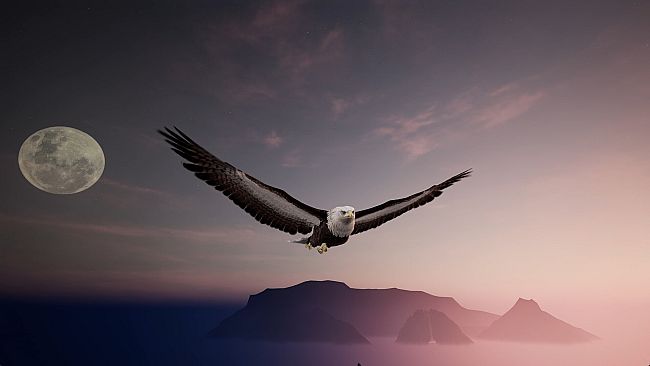 The Matchless Kungfu