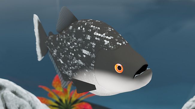 Fish Game - Piranha Fish Pack