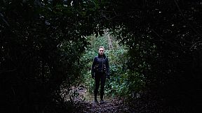 The FMV Collection 4