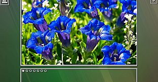 Super Jigsaw Puzzle: Generations - Flowers Puzzles