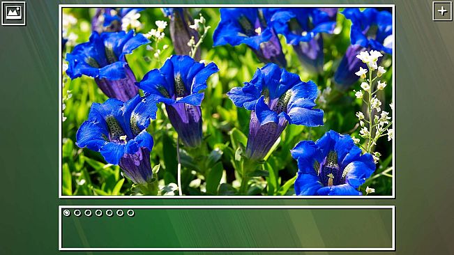 Super Jigsaw Puzzle: Generations - Flowers Puzzles