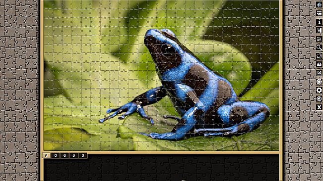 Pixel Puzzles Traditional Jigsaws Pack: Frogs