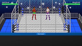 Championship Wrestling Promoter