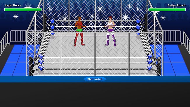 Championship Wrestling Promoter