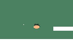 Hedgehog and Cat: Explore the World Action