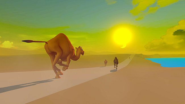 SANDSPEED: CAMEL RACING