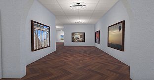Infinite Galleries