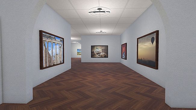 Infinite Galleries