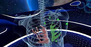 Elementary Anatomy: With Story Mode