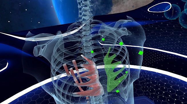 Elementary Anatomy: With Story Mode