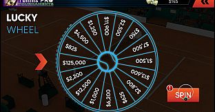 Tennis Pro Tournaments