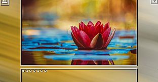 Super Jigsaw Puzzle: Generations - Flowers Puzzles