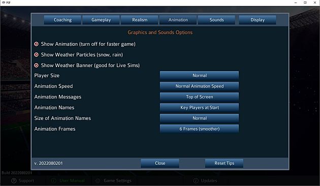 Pro Strategy Football 2022