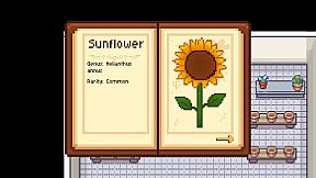 Marsh's Mellow Flower Shop