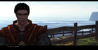 SpellForce 2 - Faith in Destiny Scenario 1: Flink's Secret Diary