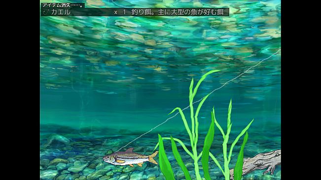 Countryside Big Catch